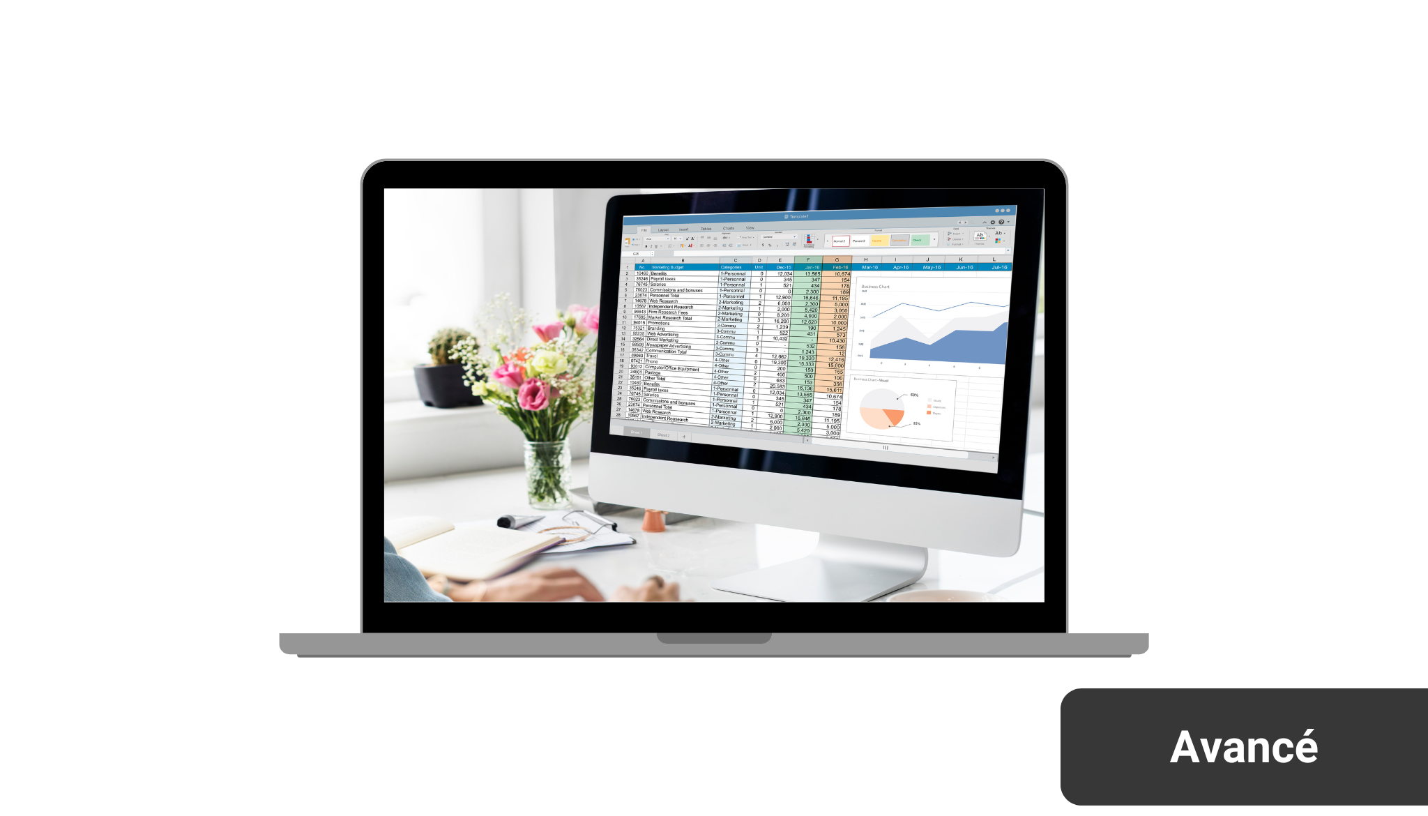 Excel pour Office 365 - Avancé